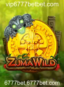 Explorando ZumaWild: Tudo que Você Precisa Saber